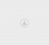 wood-gallery-placeholder-5 wood-gallery-placeholder-5